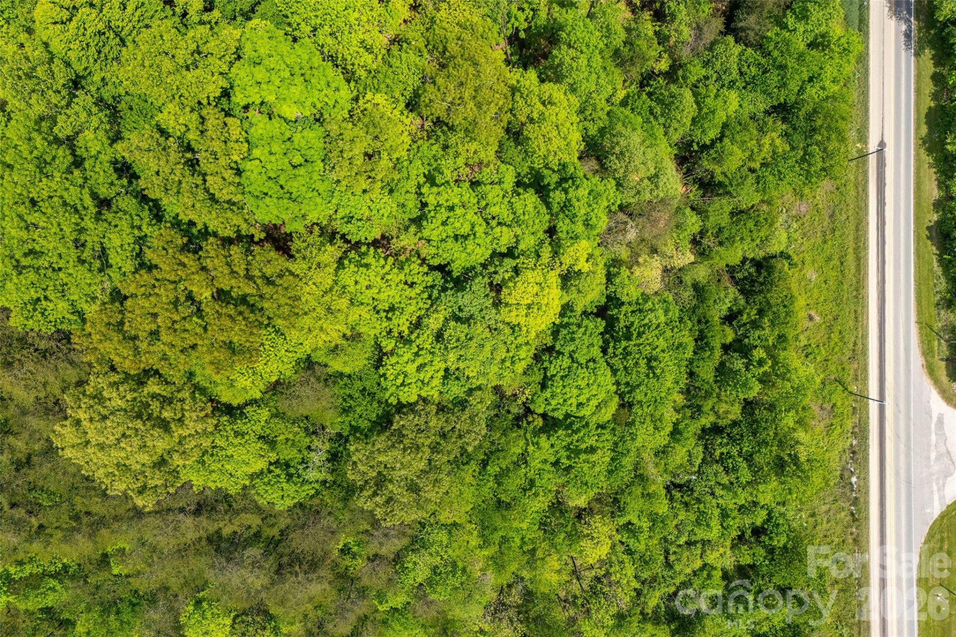 995 Main Street - Photo 15