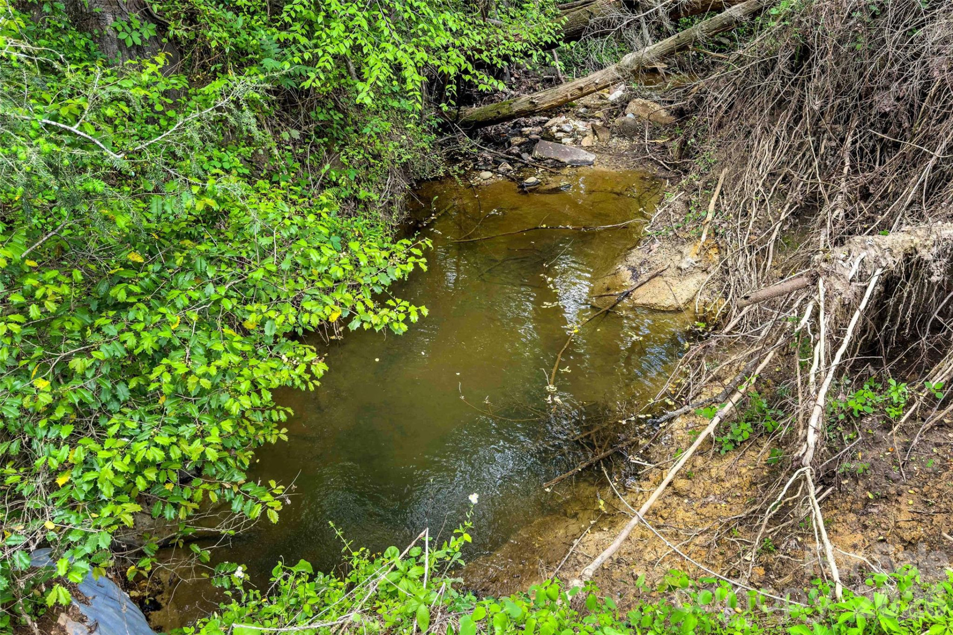 995 Main Street - Photo 24