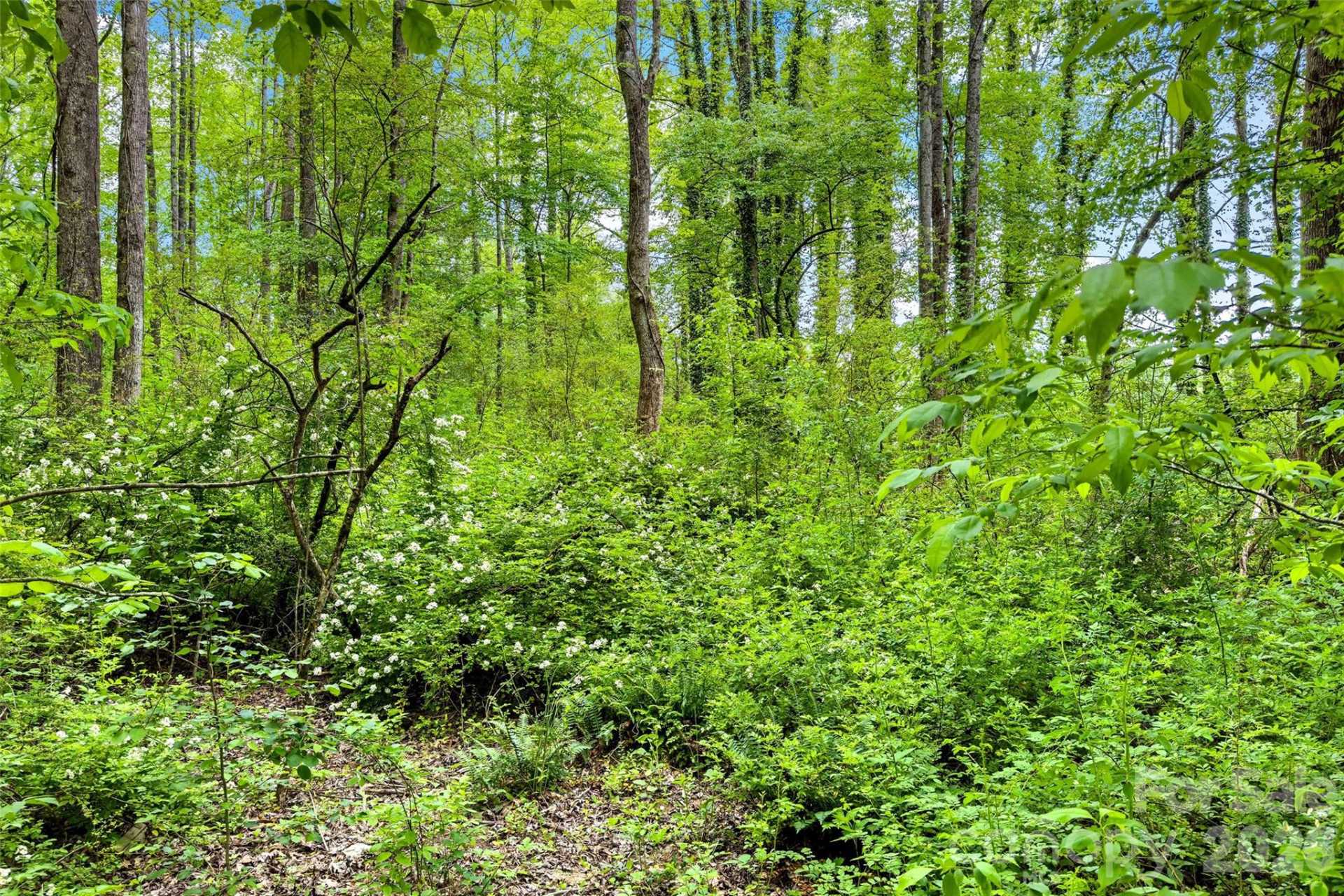 995 Main Street - Photo 26