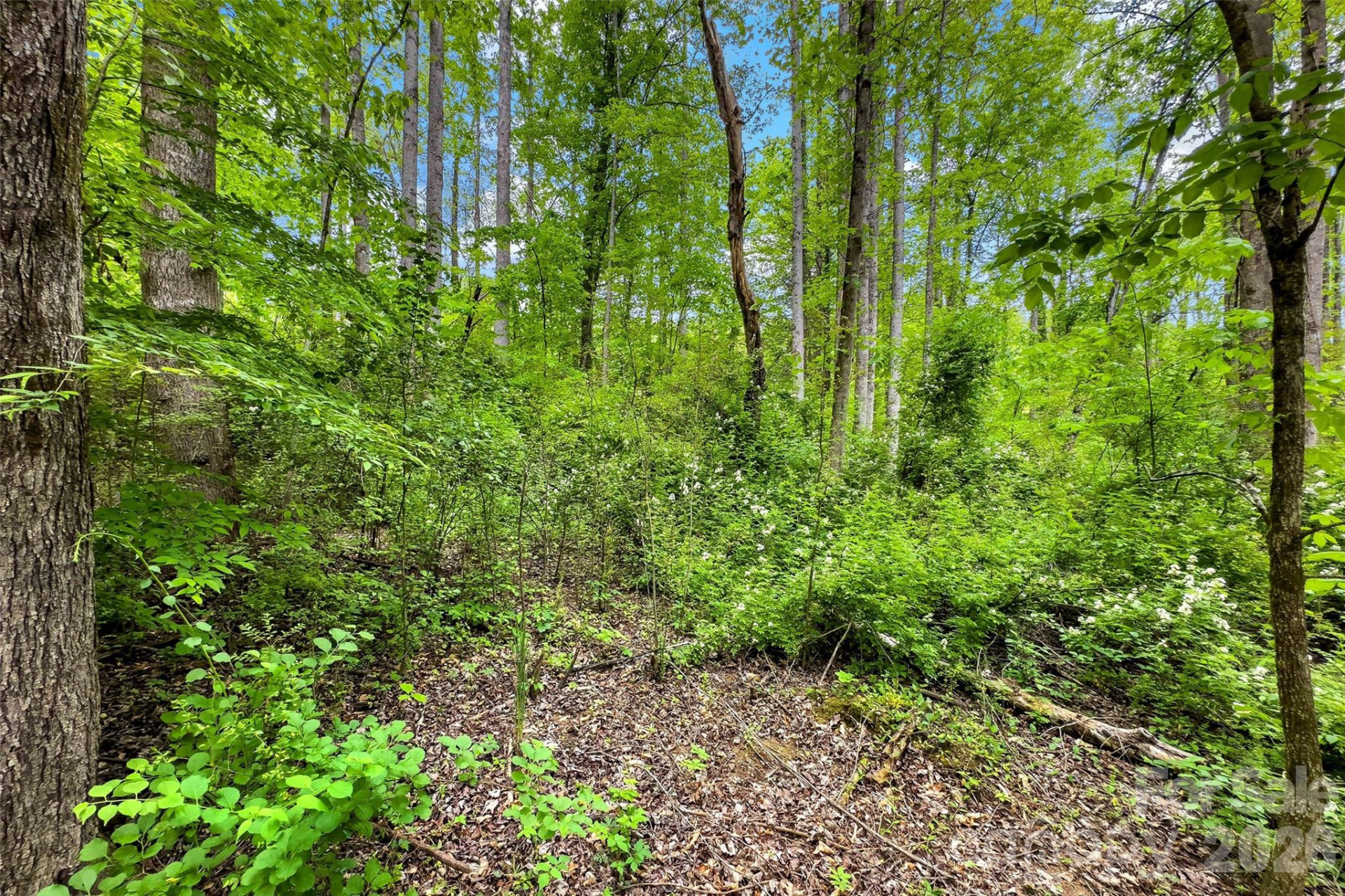 995 Main Street - Photo 27