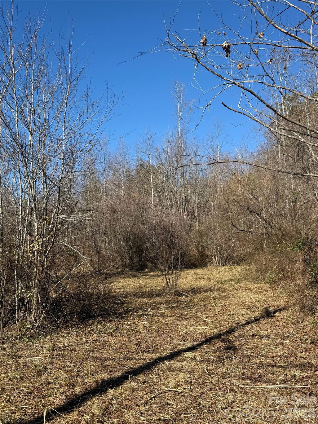 995 Main Street - Photo 31