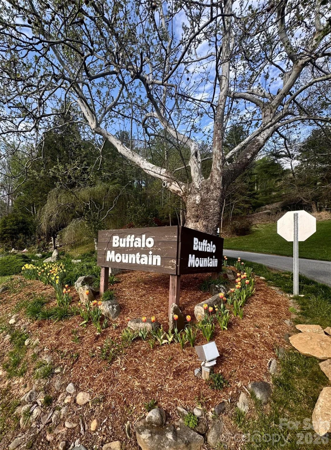 125 Buffalo Trail - Photo 11