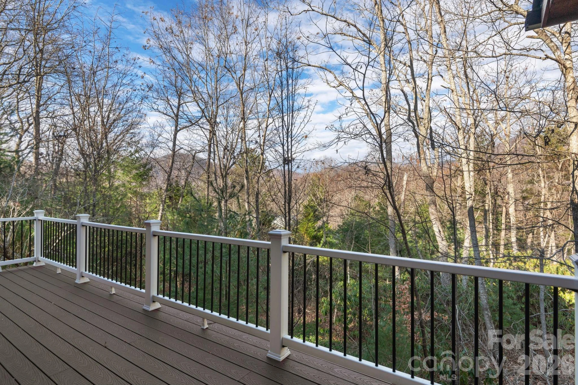 125 Buffalo Trail - Photo 17