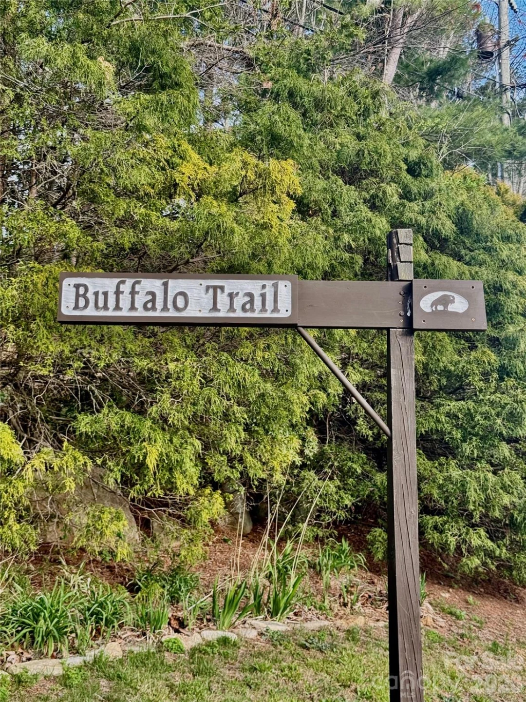 125 Buffalo Trail - Photo 38