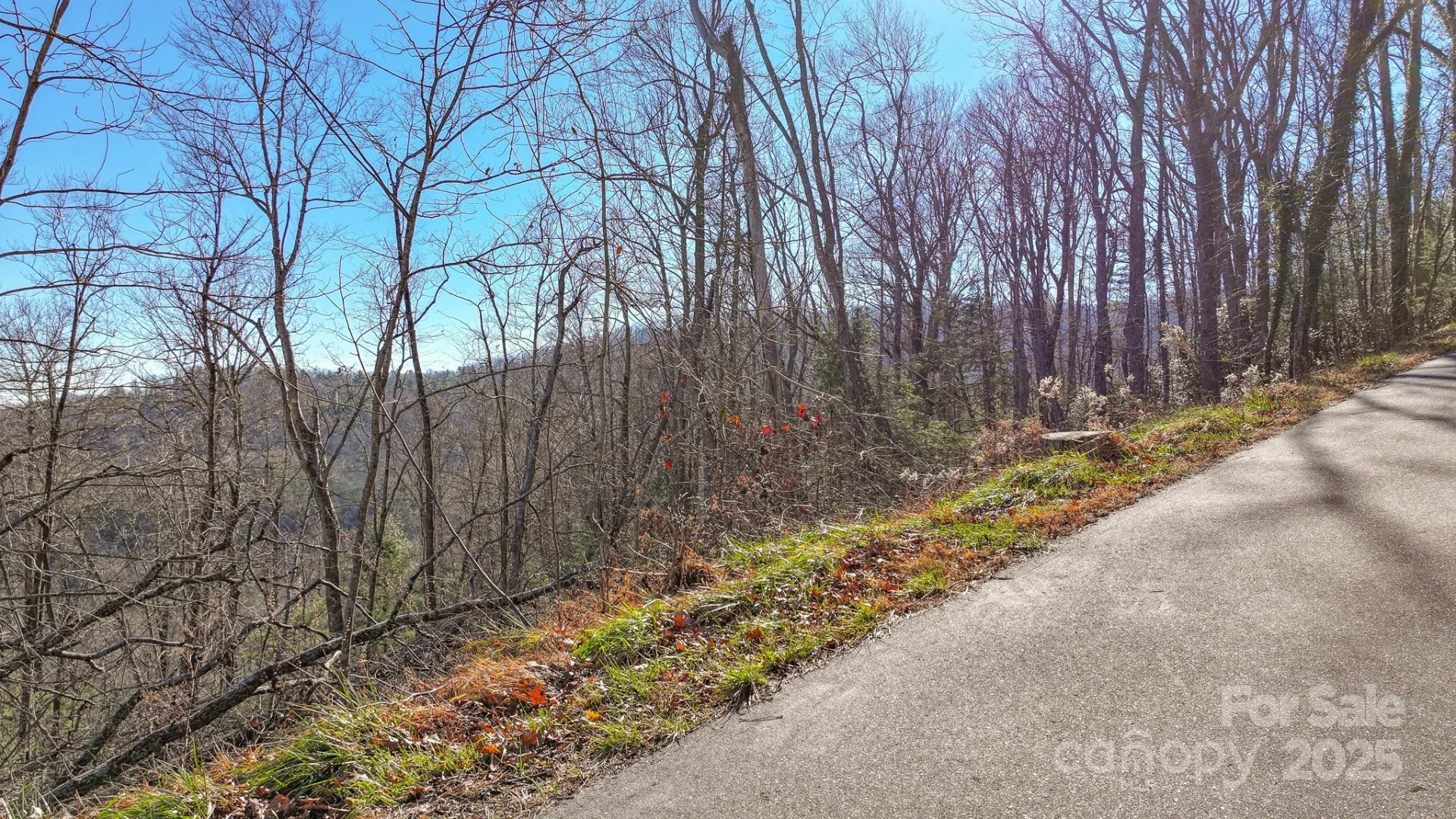 TBD MCHONE Road - Photo 2