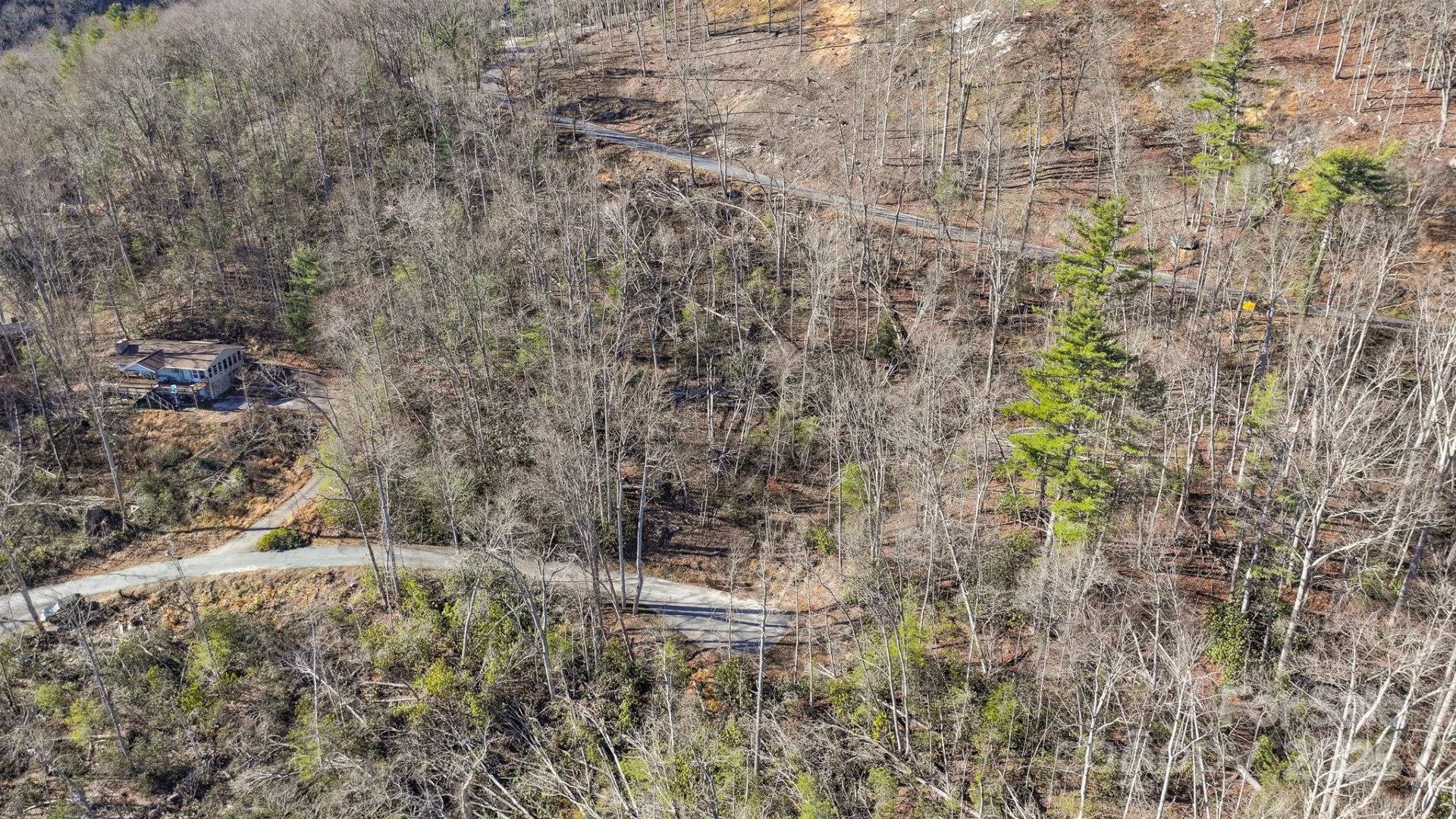 TBD MCHONE Road - Photo 4