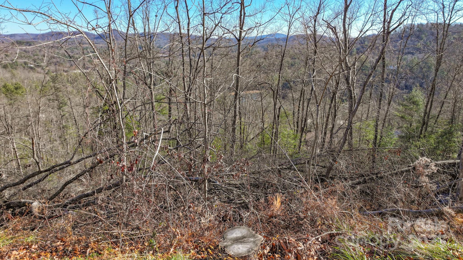 TBD MCHONE Road - Photo 5