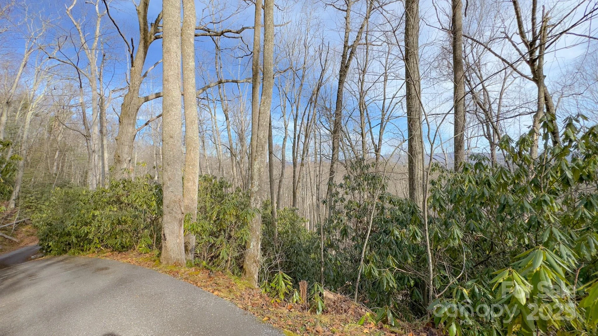 TBD High Acres Road - Photo 2