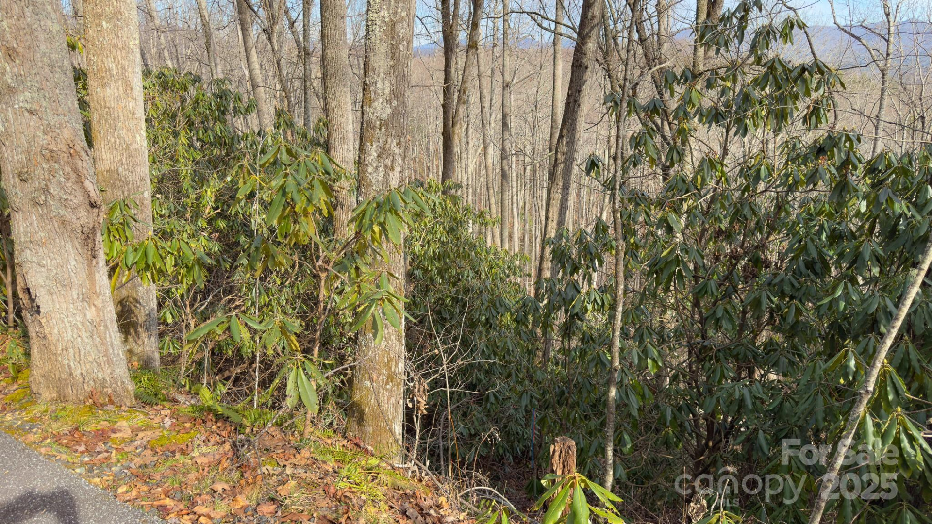 TBD High Acres Road - Photo 3