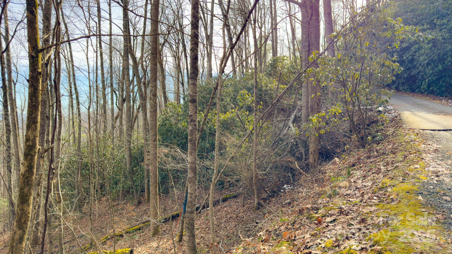 TBD High Acres Road - Photo 4