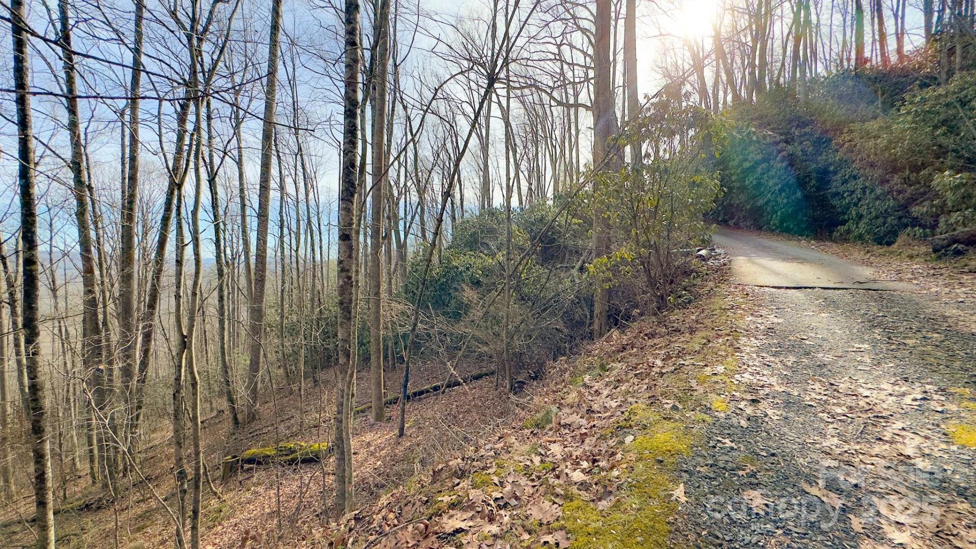 TBD High Acres Road - Photo 5