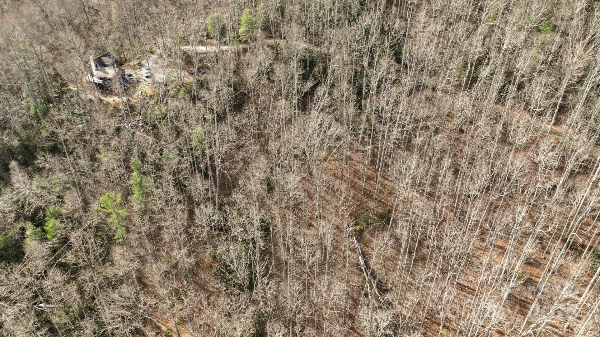 TBD High Acres Road - Photo 6