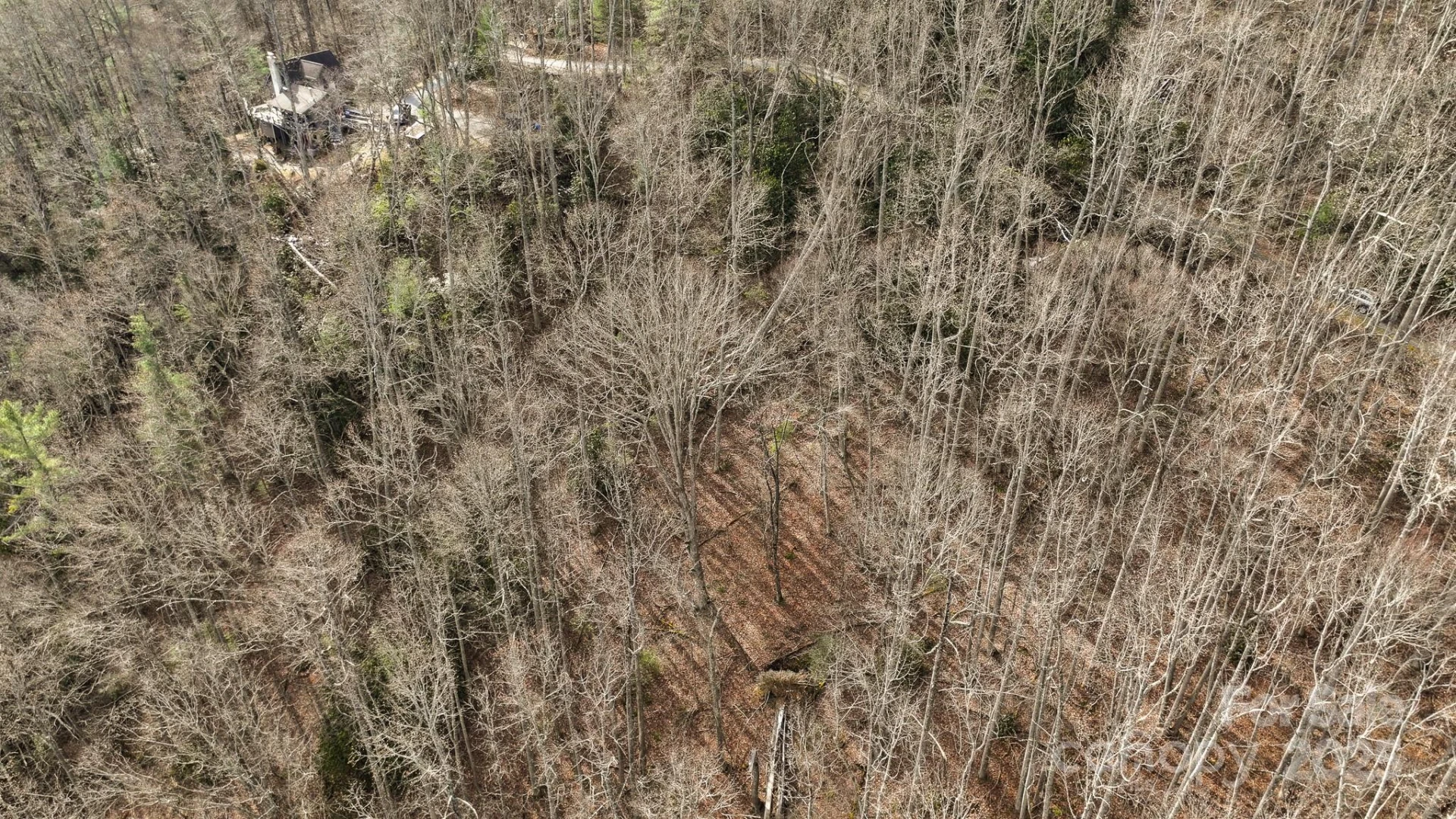 TBD High Acres Road - Photo 7