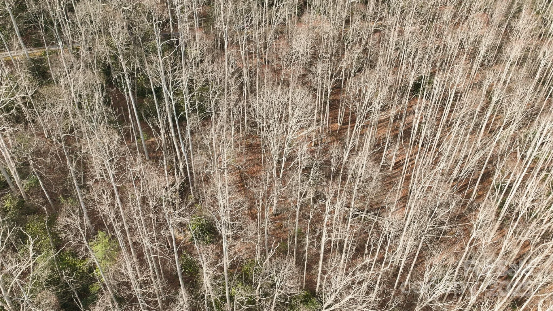 TBD High Acres Road - Photo 8