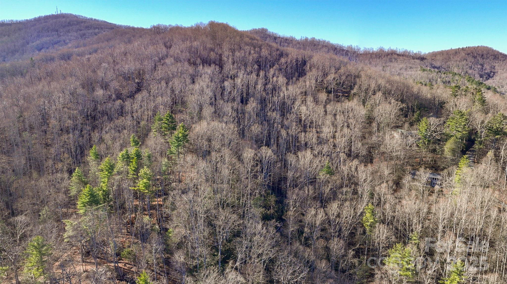 TBD Longview Road - Photo 4