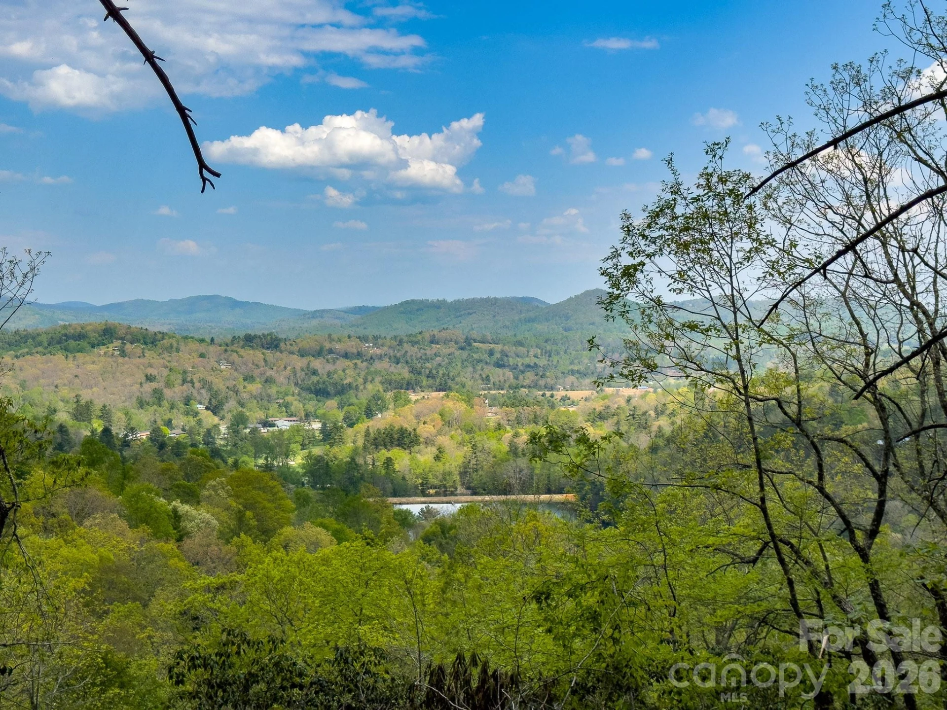 TBD Pine Point Road