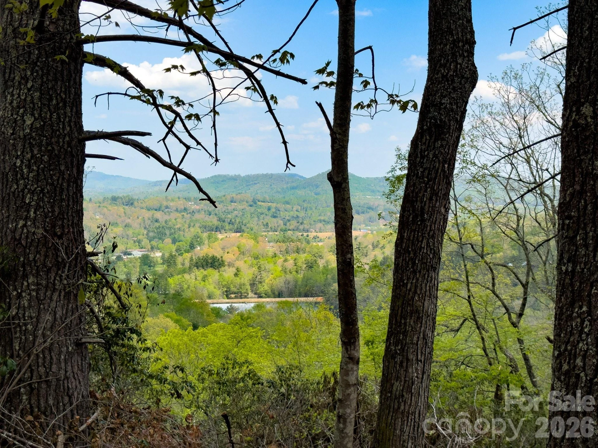 TBD Pine Point Road - Photo 2