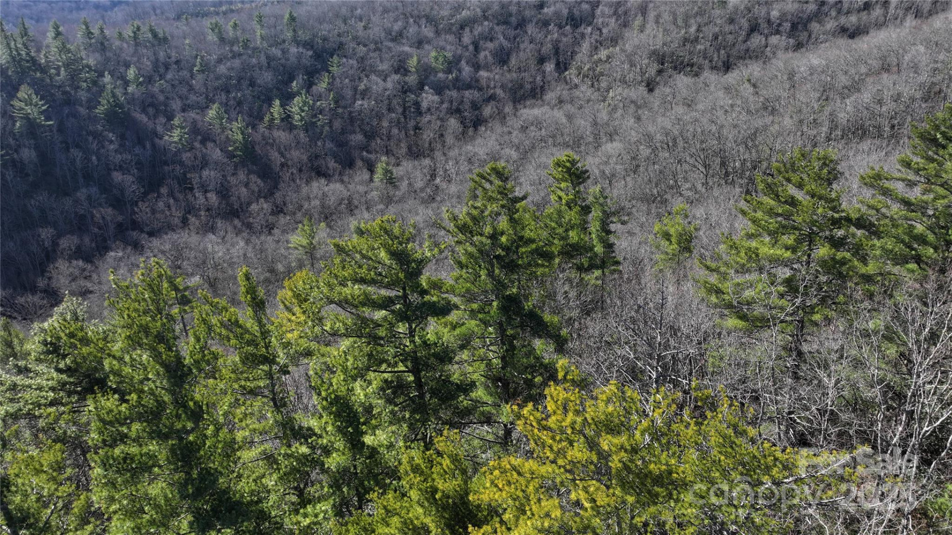 TBD Mountain Stream Road - Photo 3