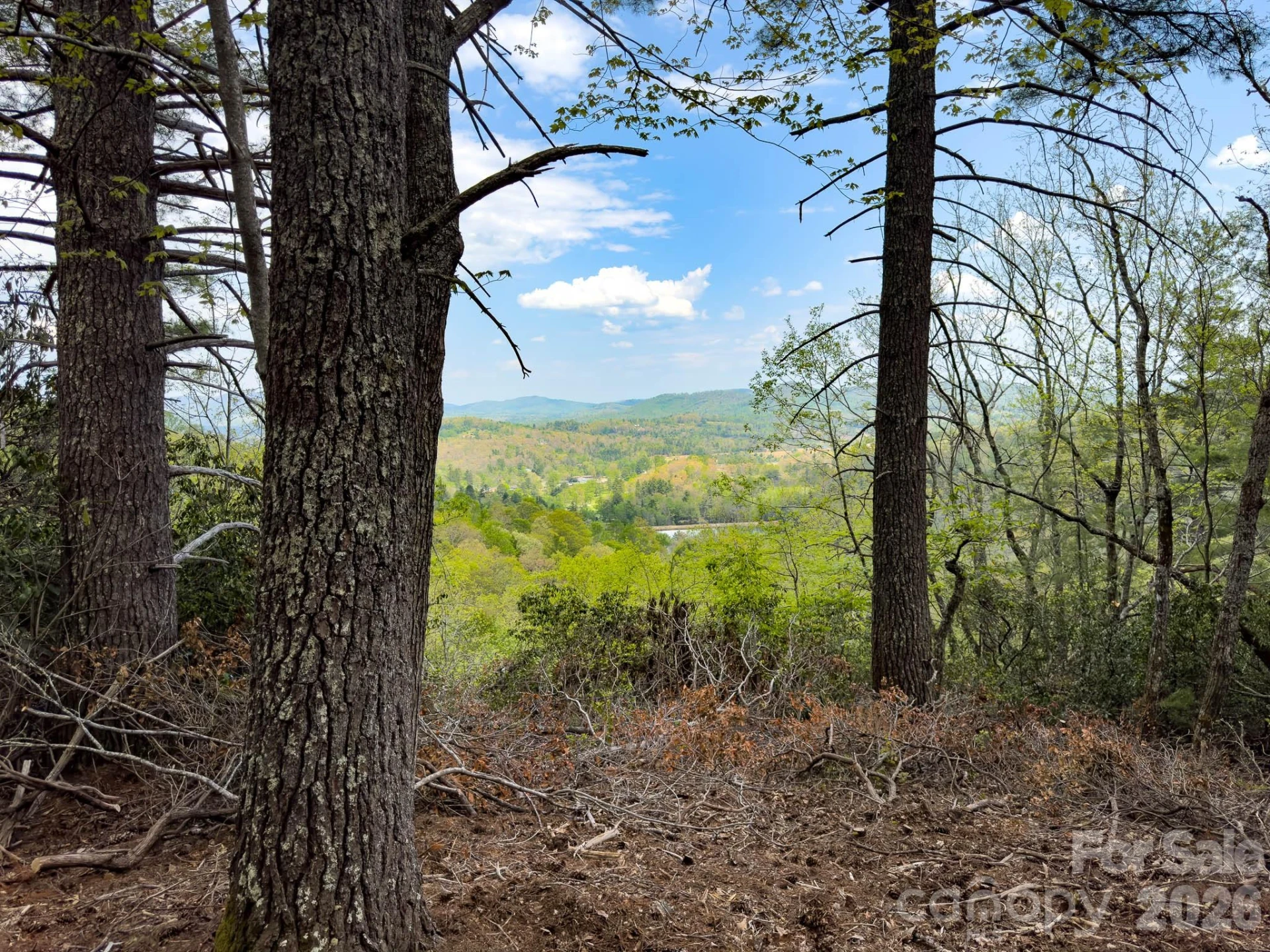 TBD Pine Point Road - Photo 3