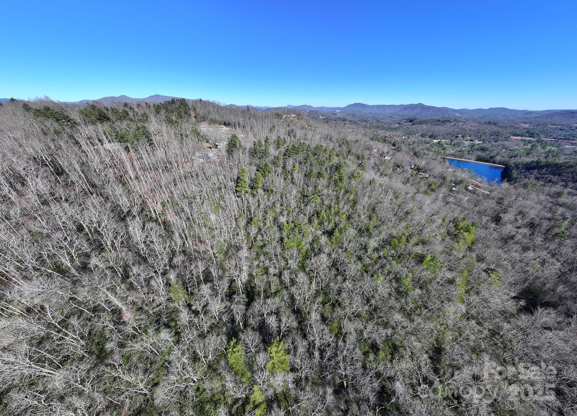 TBD Mountain Stream Road - Photo 4