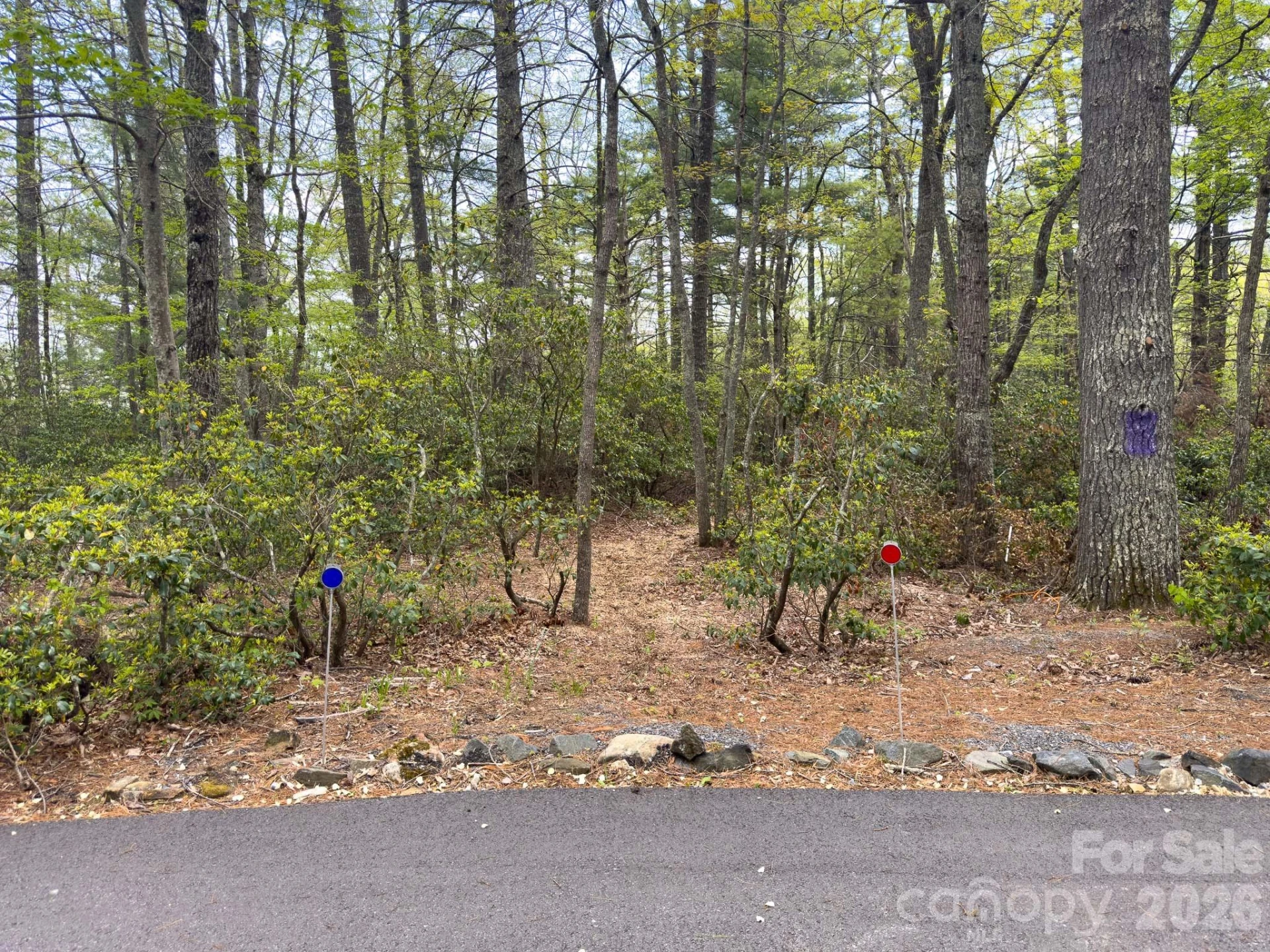 TBD Pine Point Road - Photo 4