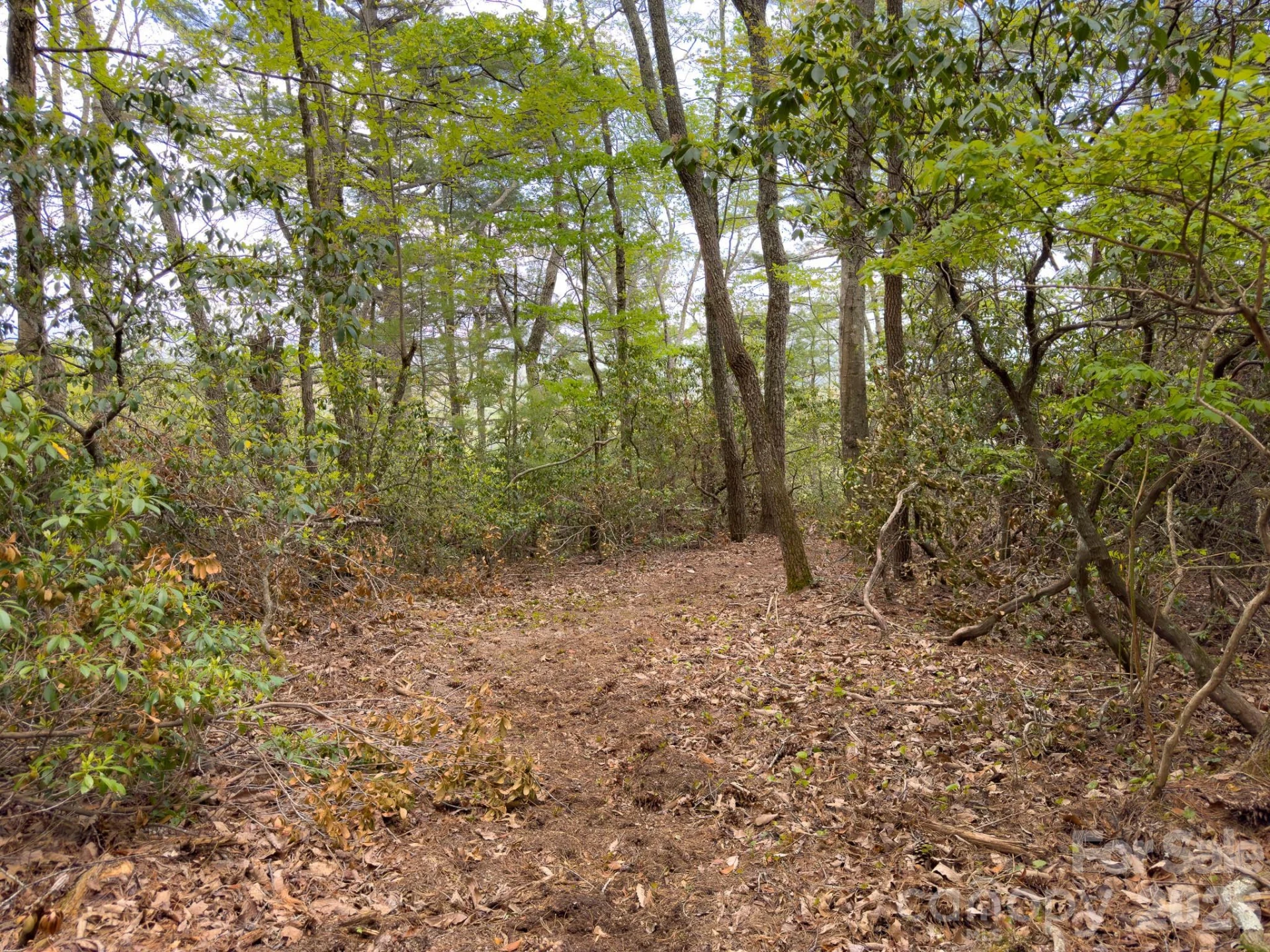 TBD Pine Point Road - Photo 5