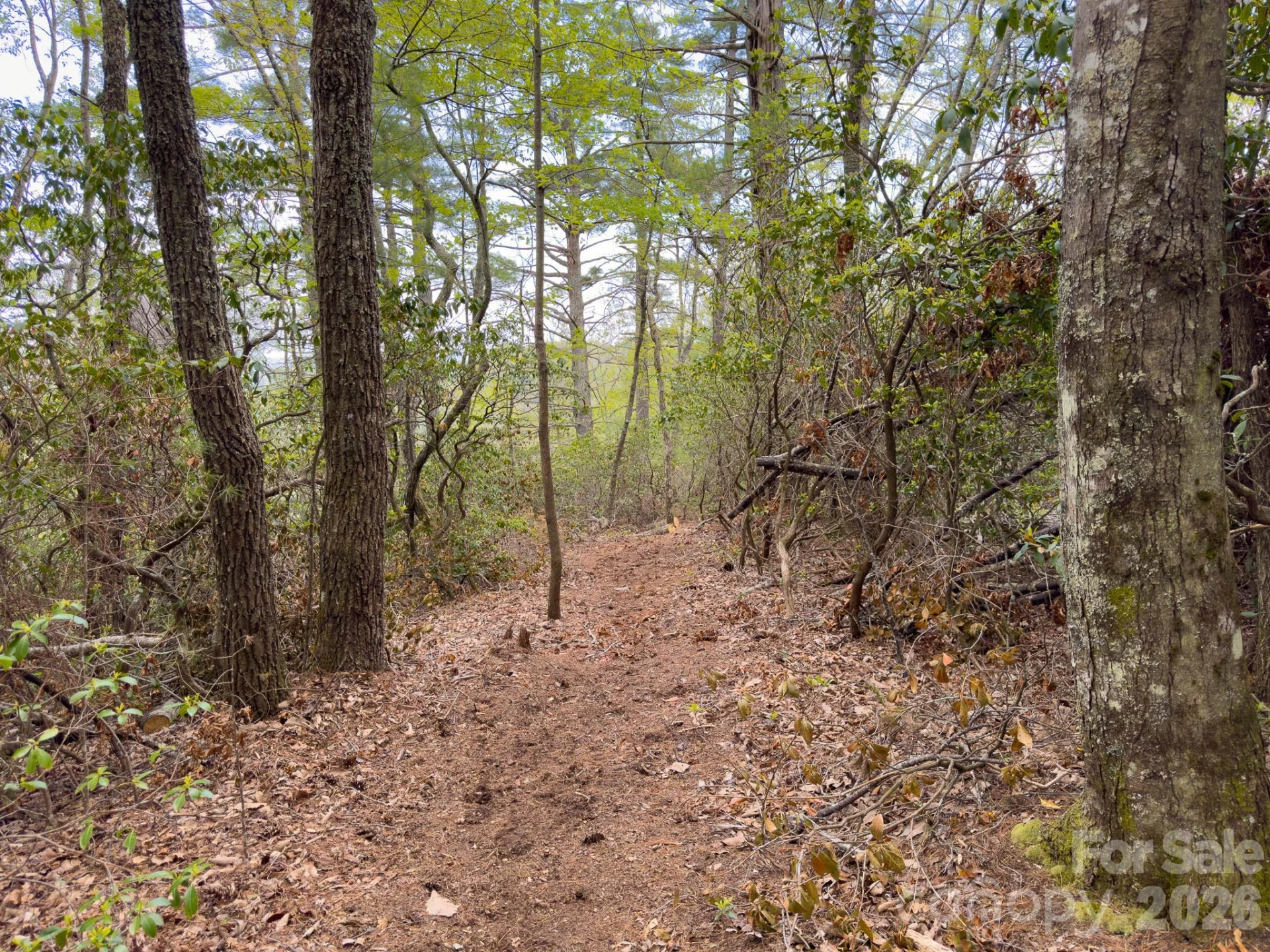 TBD Pine Point Road - Photo 6