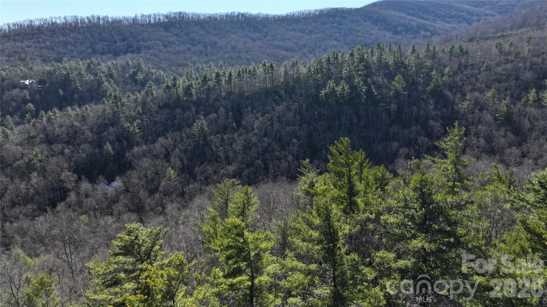 TBD Pine Point Road - Photo 8