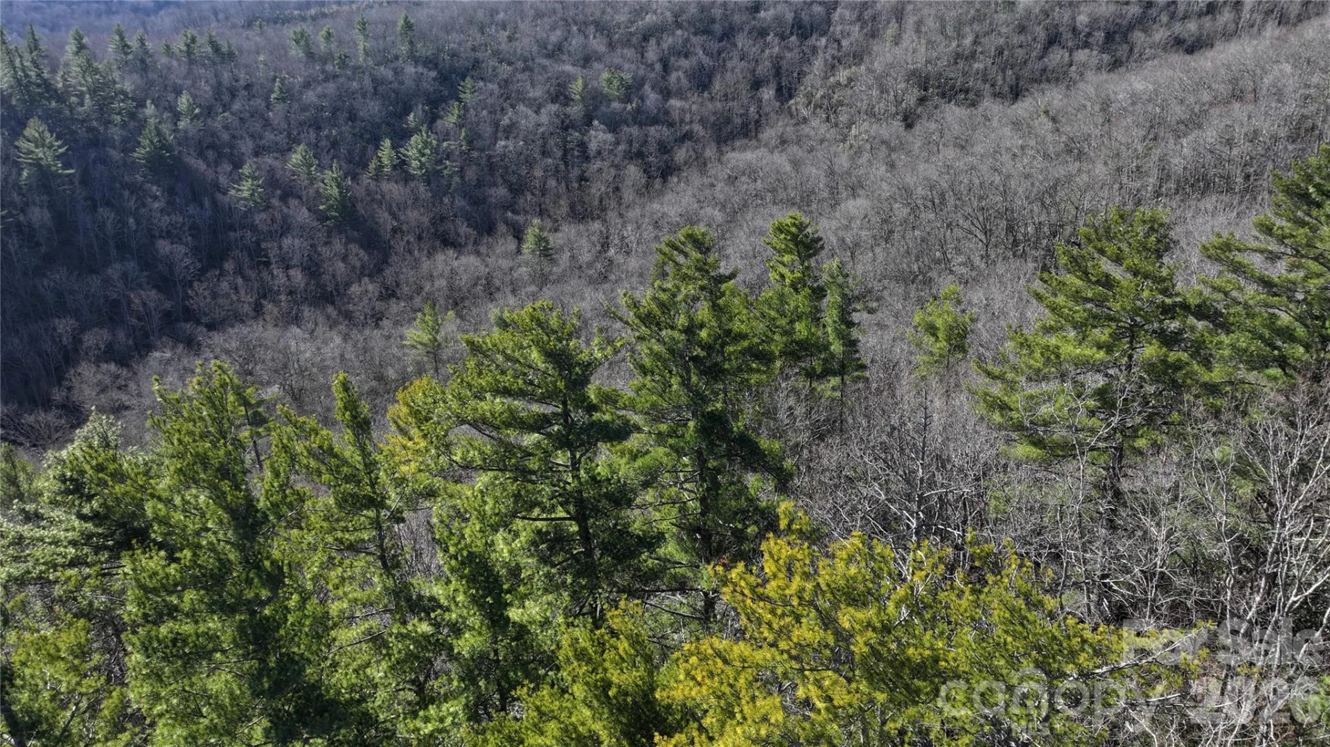 TBD Pine Point Road - Photo 9