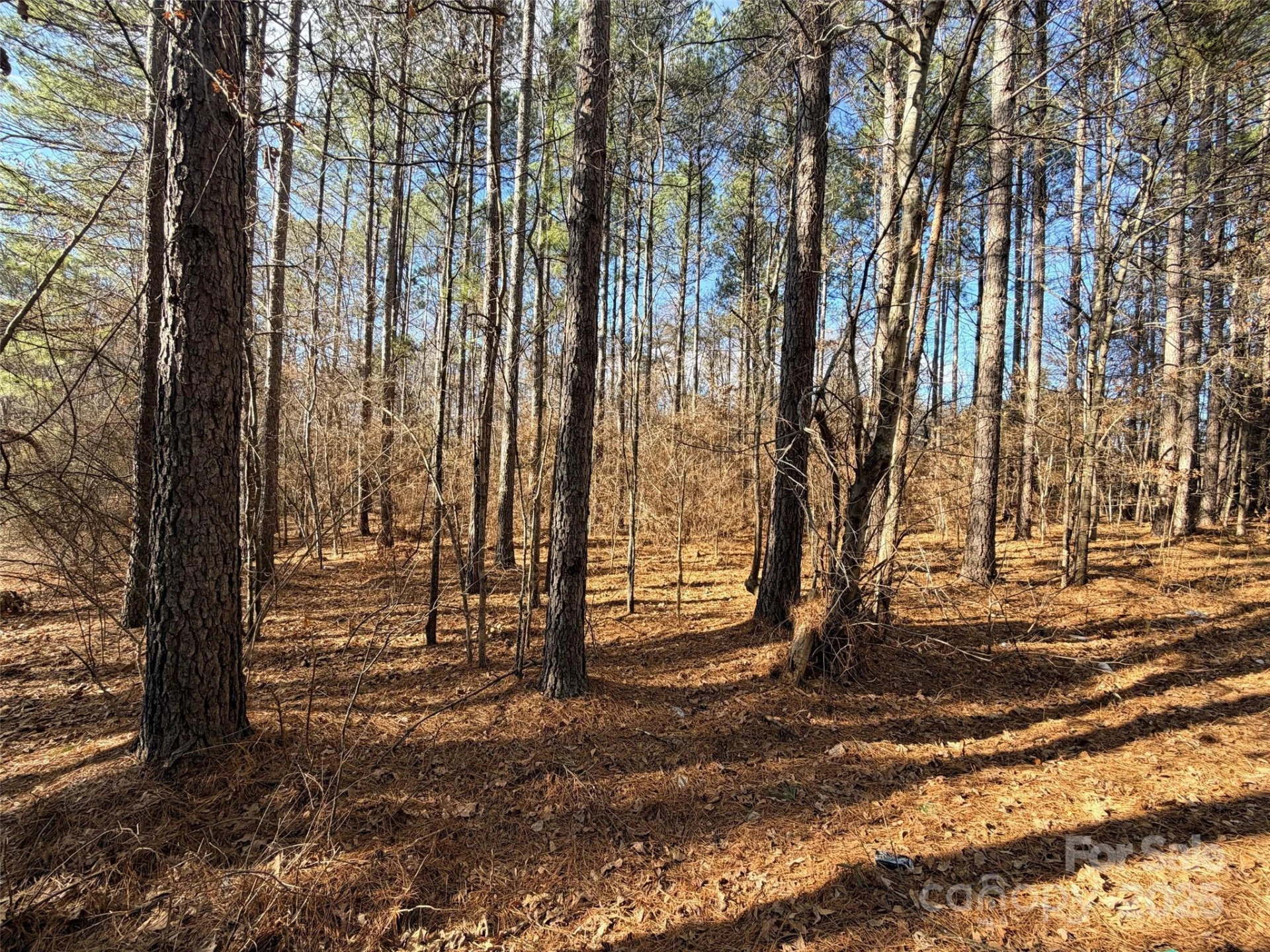 9999 Doggett Grove Road - Photo 2
