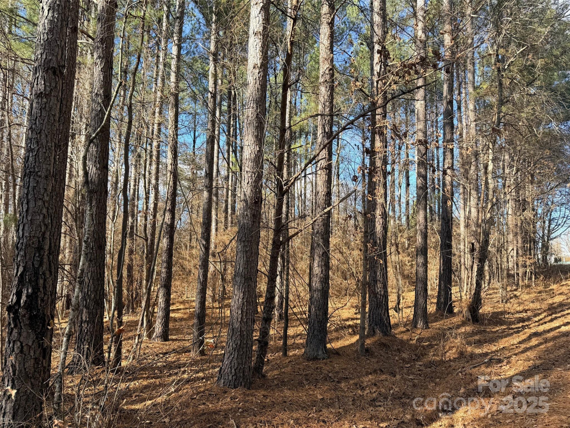 9999 Doggett Grove Road - Photo 3