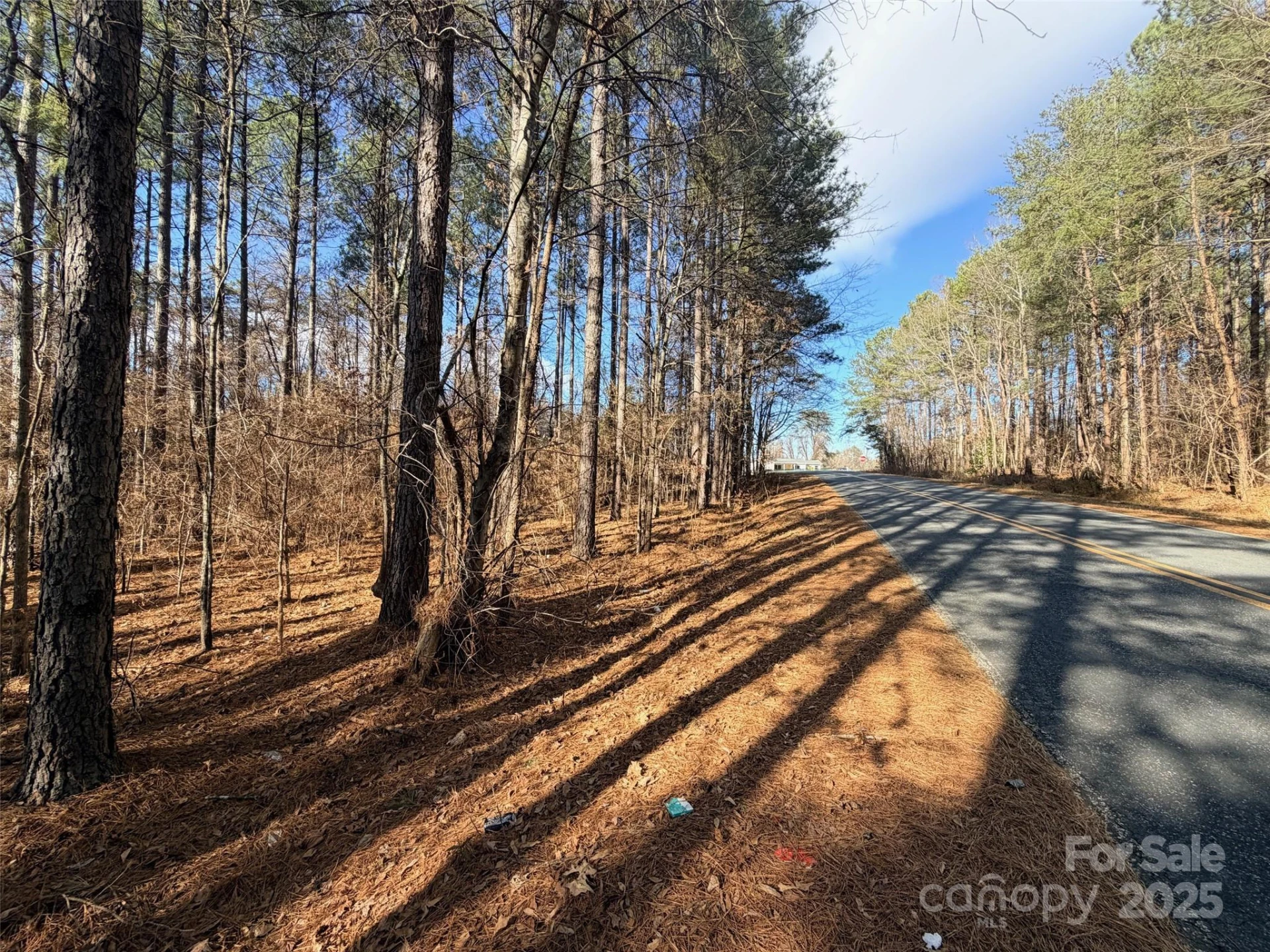 9999 Doggett Grove Road - Photo 4