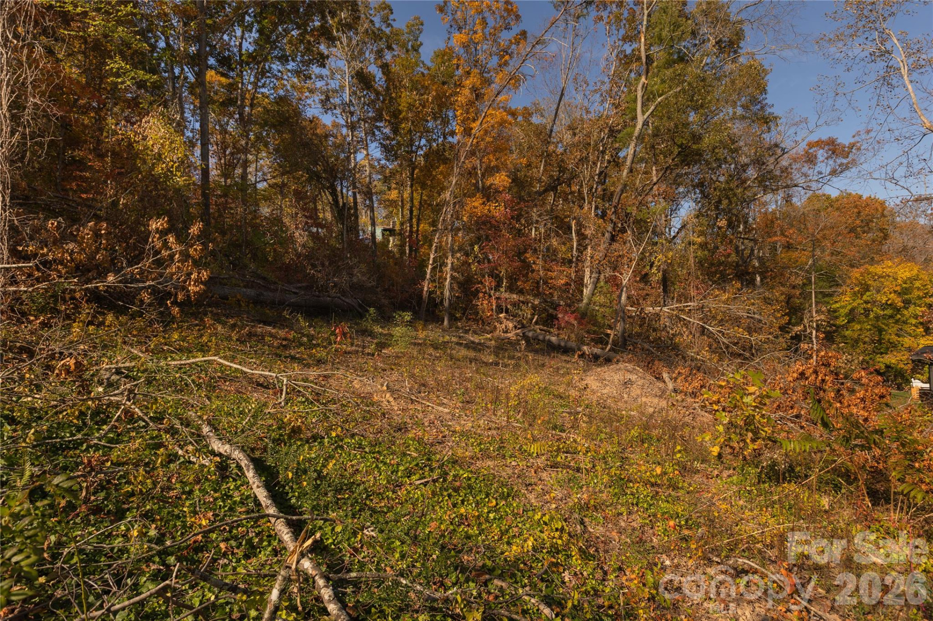 13 Bassett Road - Photo 6