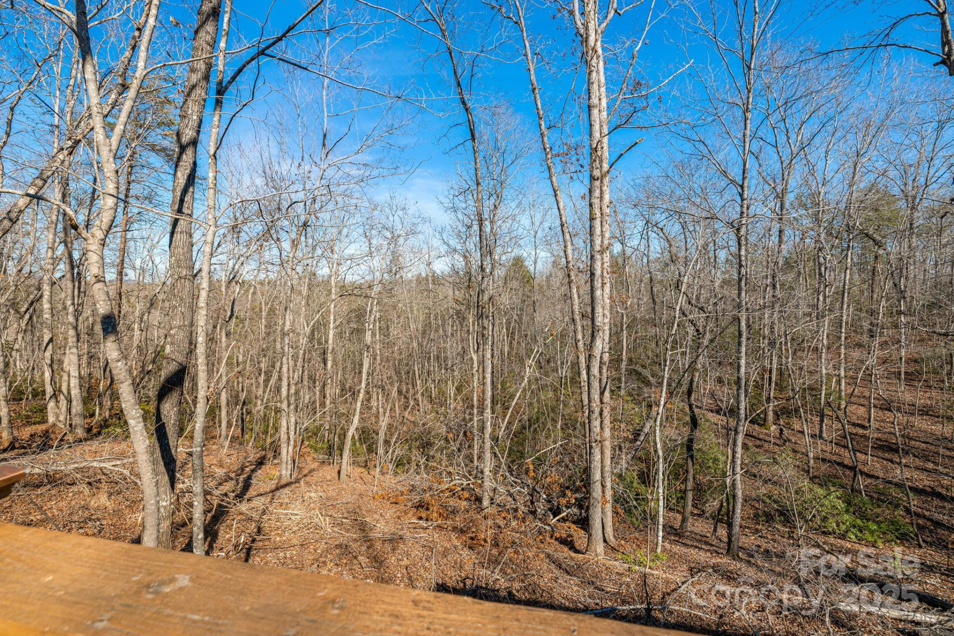 81 Delind Drive - Photo 40