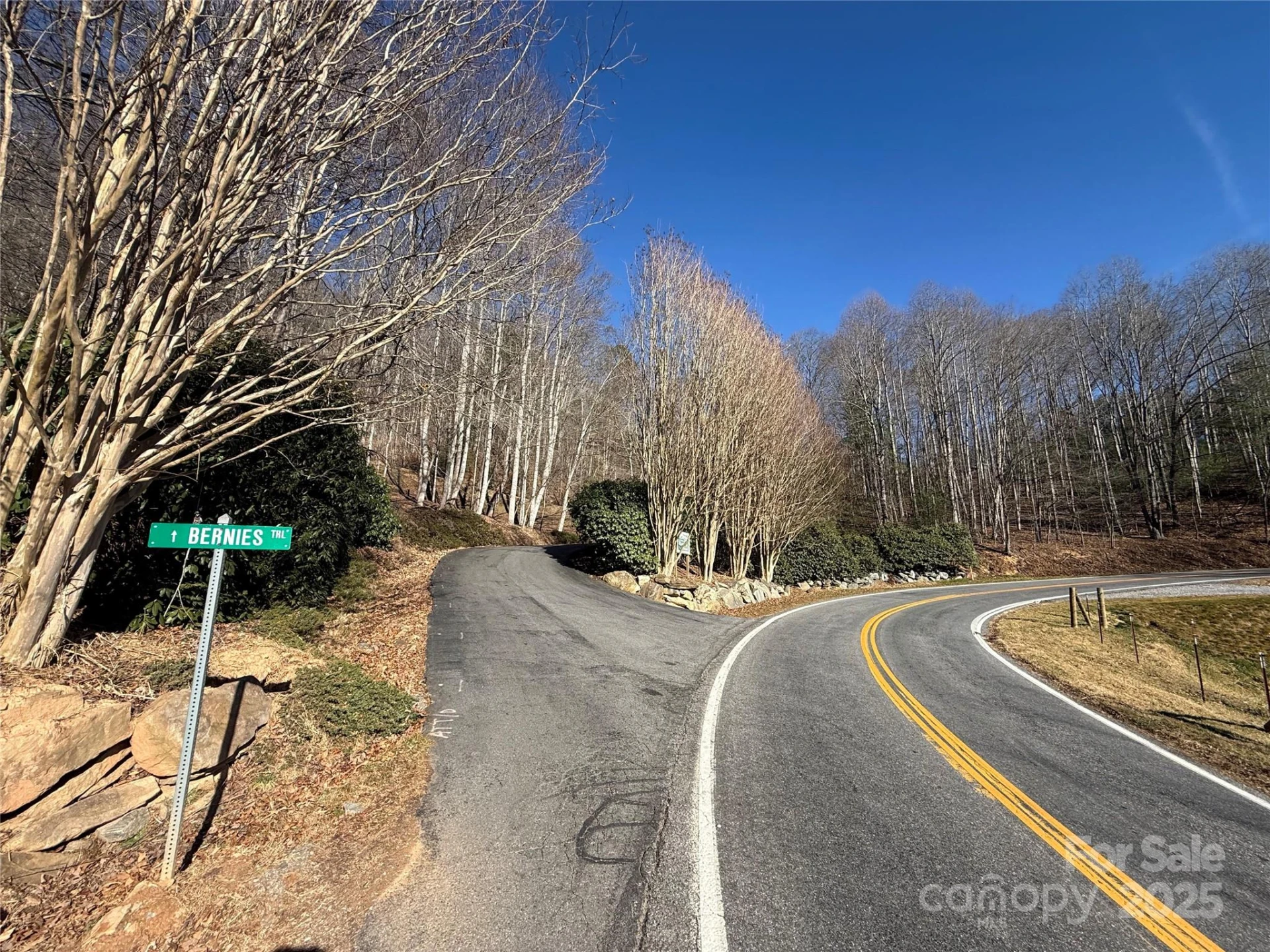 Lot 27 Bernies Trail #27 - Photo 4
