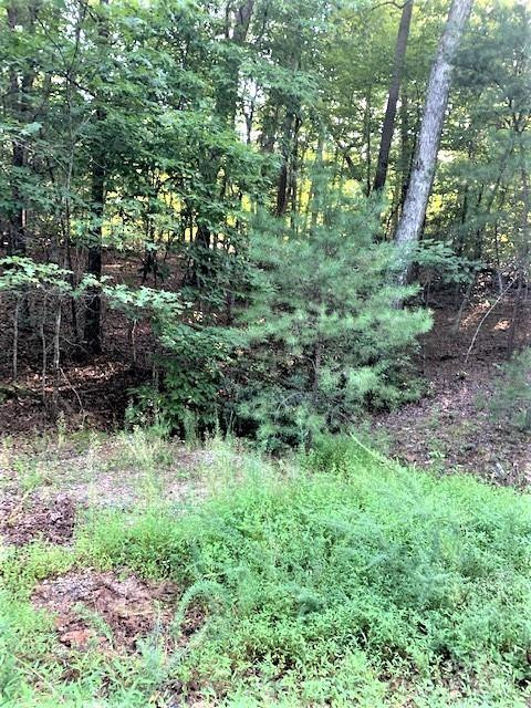 0 Swans Way #262 - Photo 4