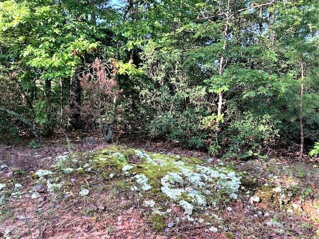 0 Swans Way #262 - Photo 5