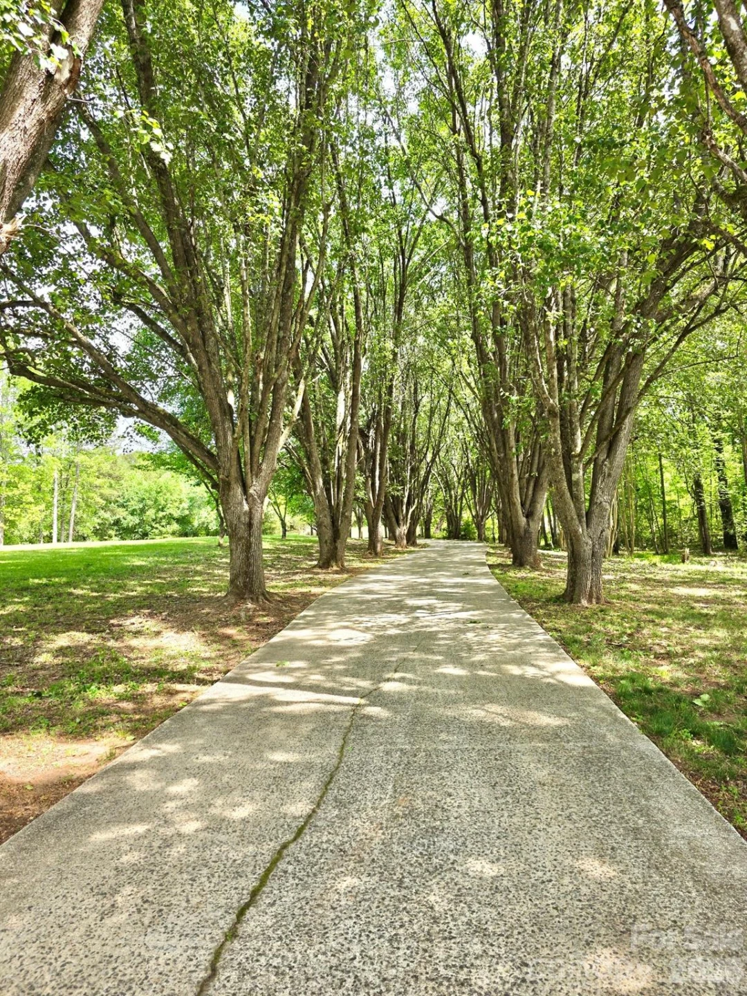 100 Steffey Lane - Photo 2