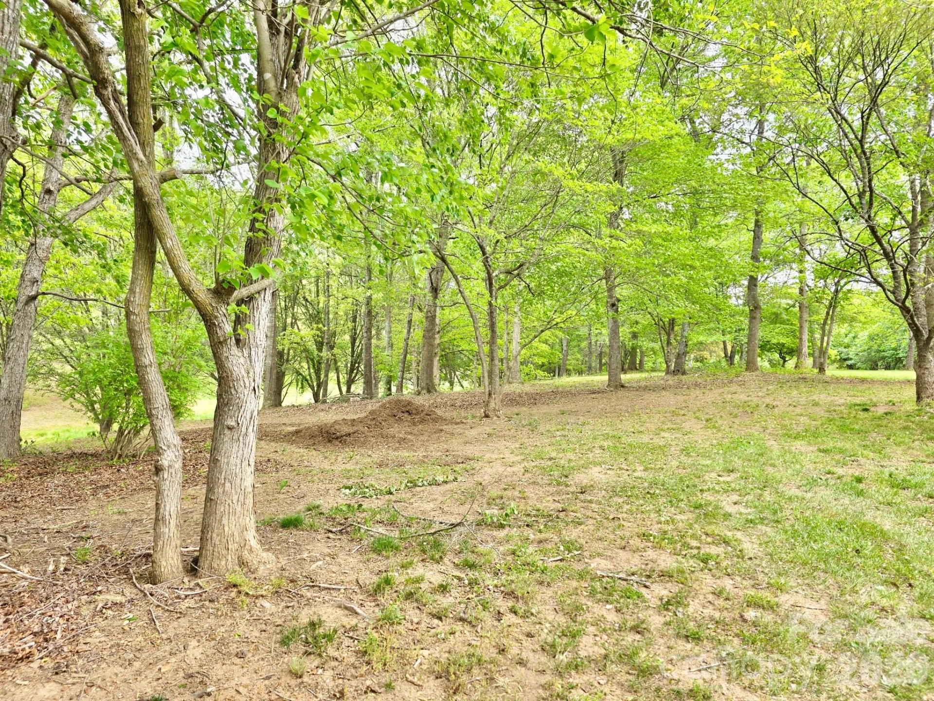 100 Steffey Lane - Photo 47