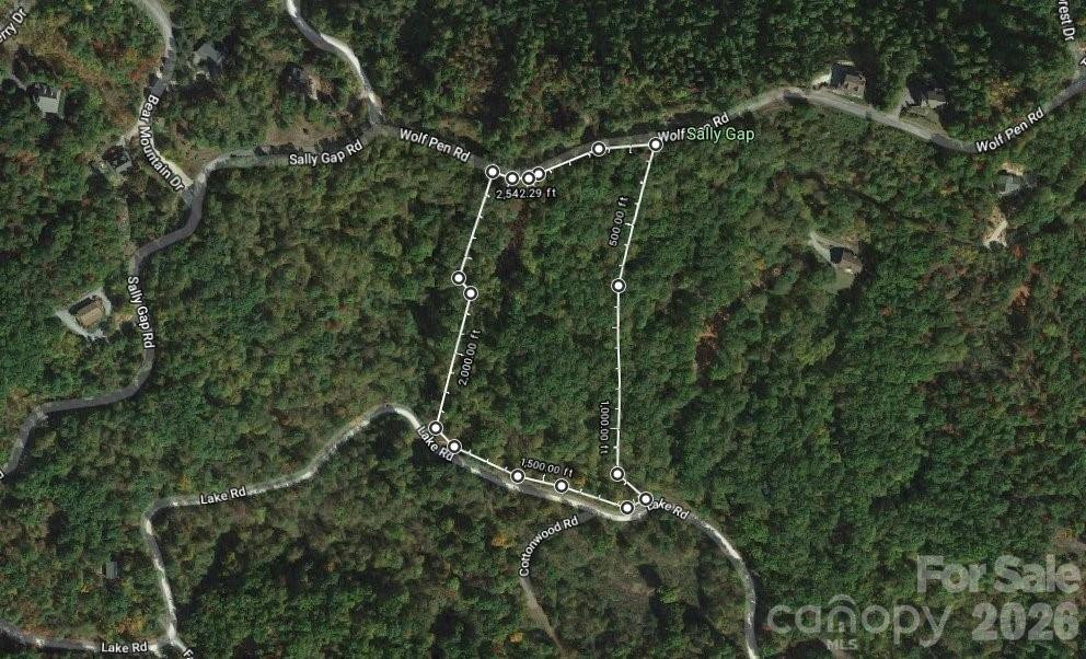 100 Wolf Pen Road - Photo 2