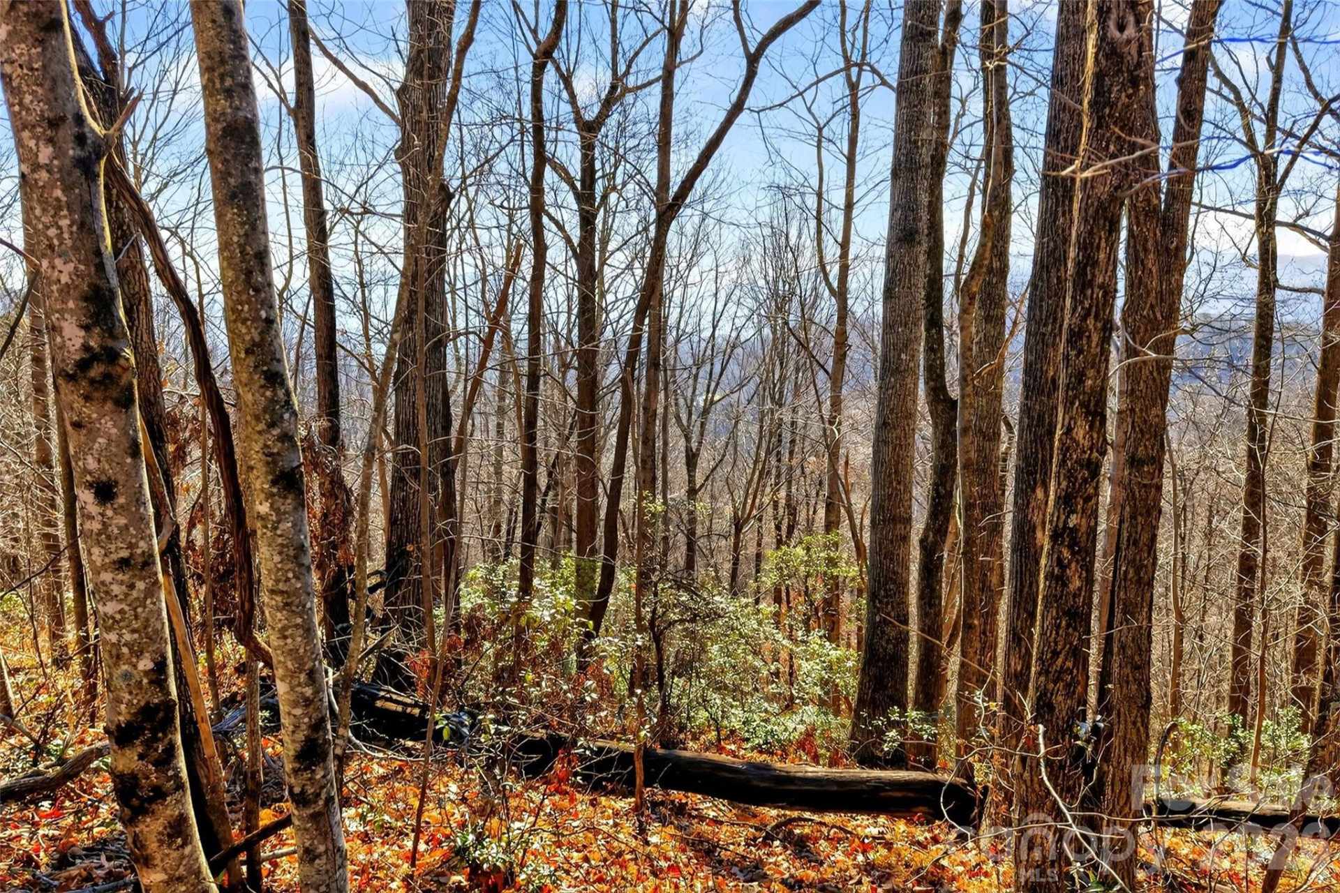 100 Wolf Pen Road - Photo 11