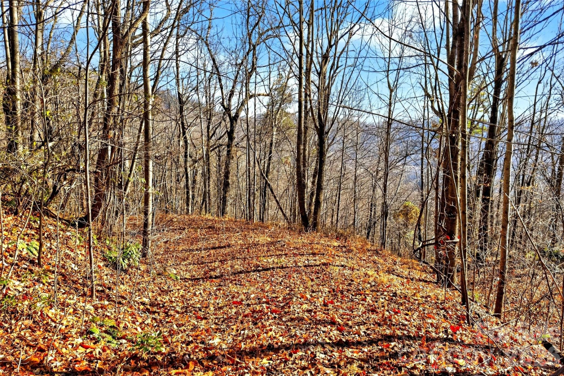 100 Wolf Pen Road - Photo 12