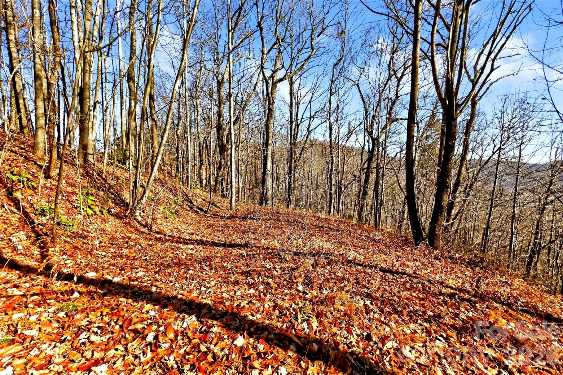 100 Wolf Pen Road - Photo 13