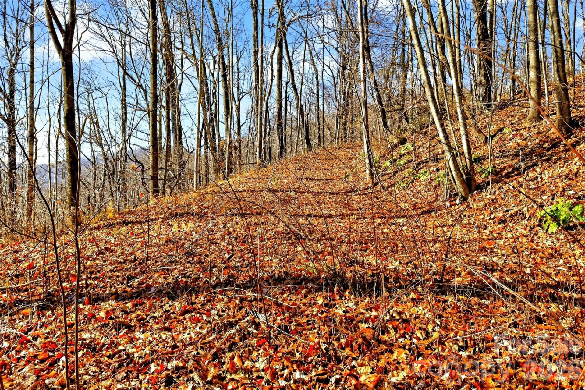 100 Wolf Pen Road - Photo 14