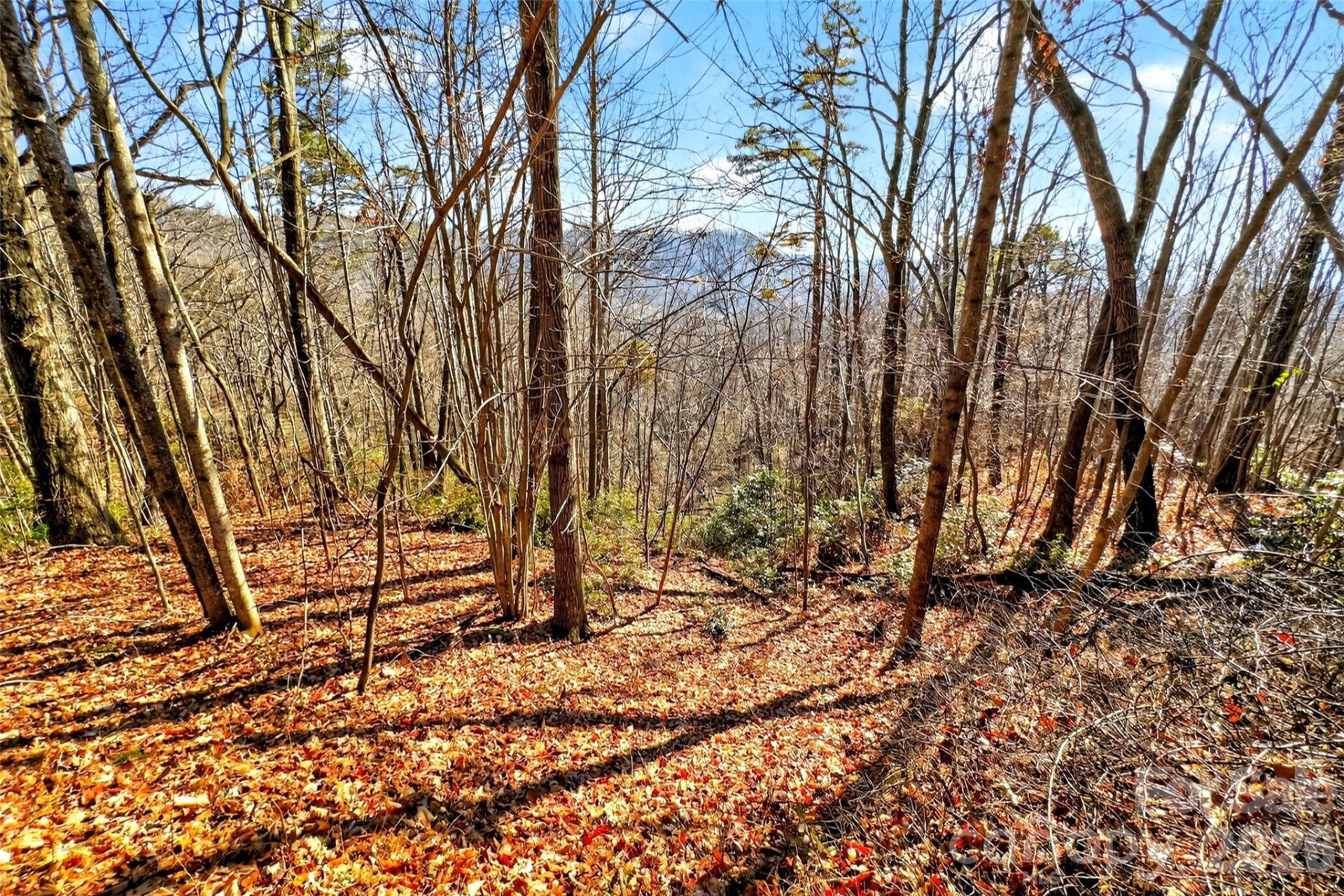 100 Wolf Pen Road - Photo 15