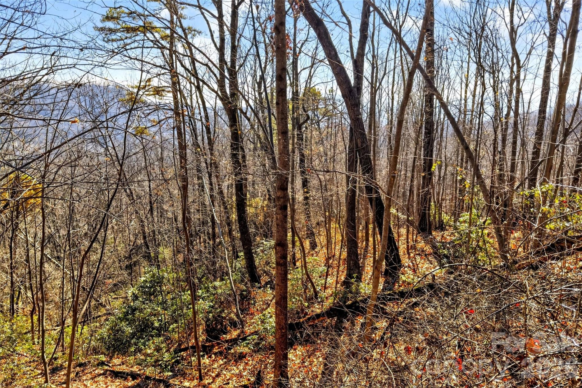 100 Wolf Pen Road - Photo 16