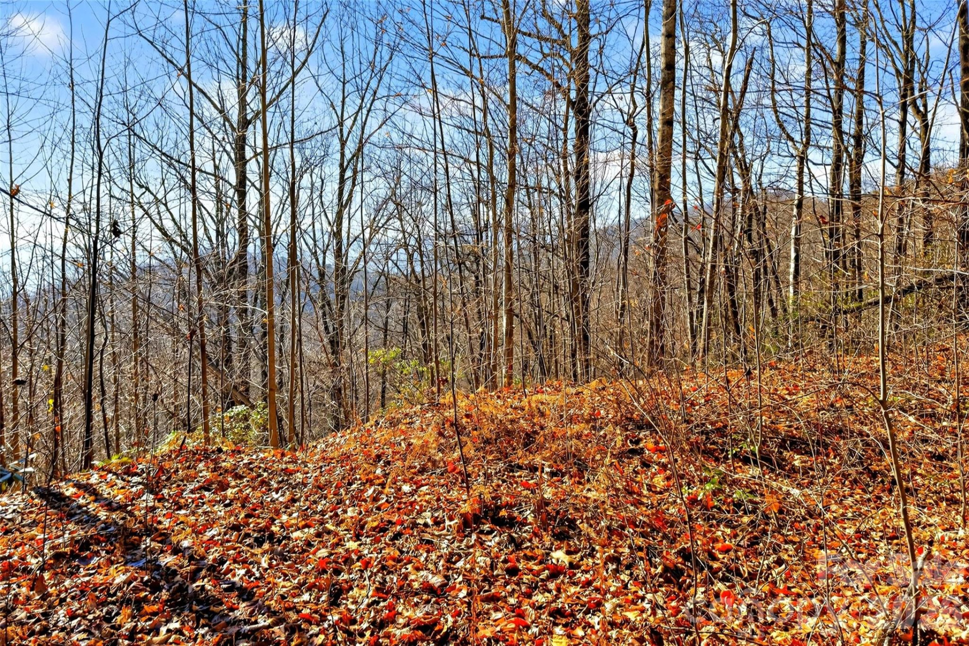 100 Wolf Pen Road - Photo 17