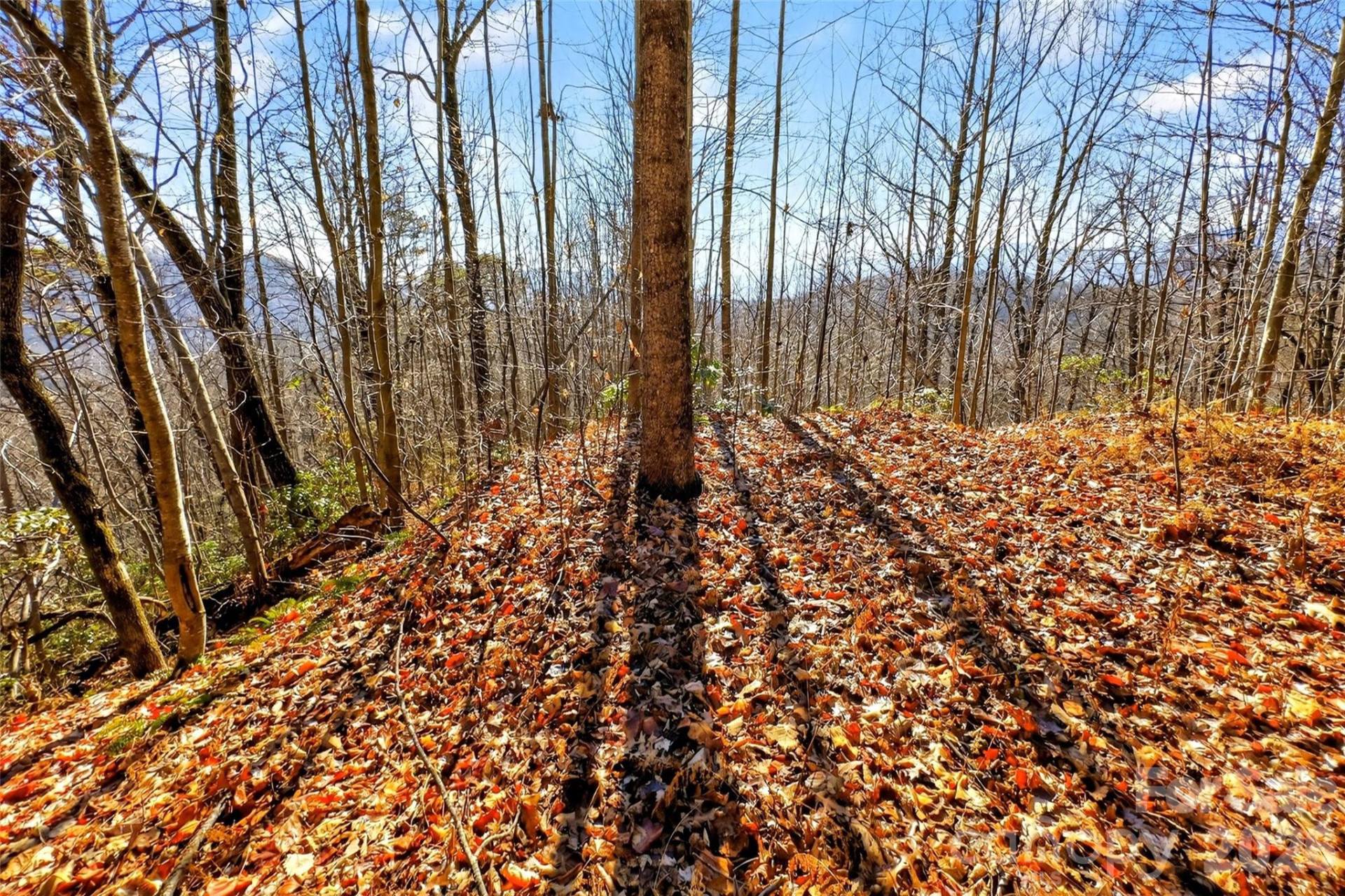 100 Wolf Pen Road - Photo 18