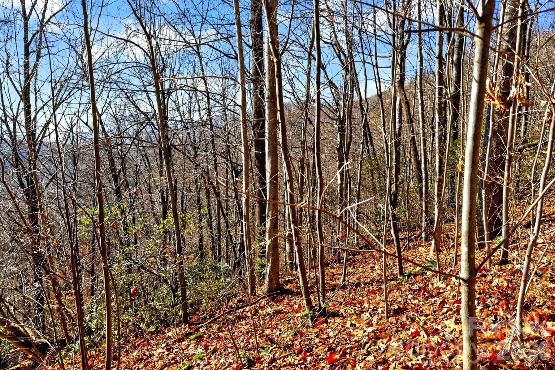 100 Wolf Pen Road - Photo 19