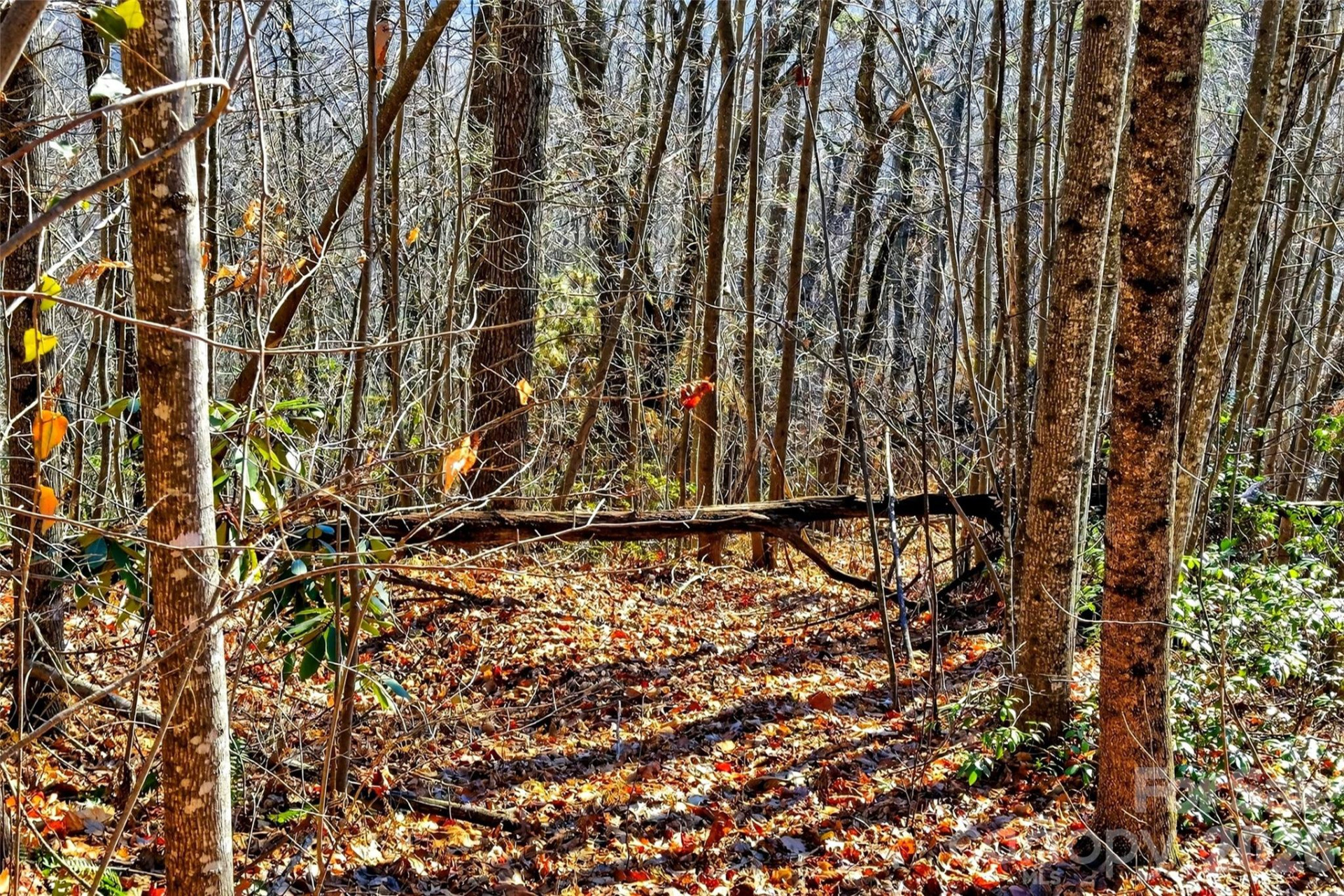 100 Wolf Pen Road - Photo 20